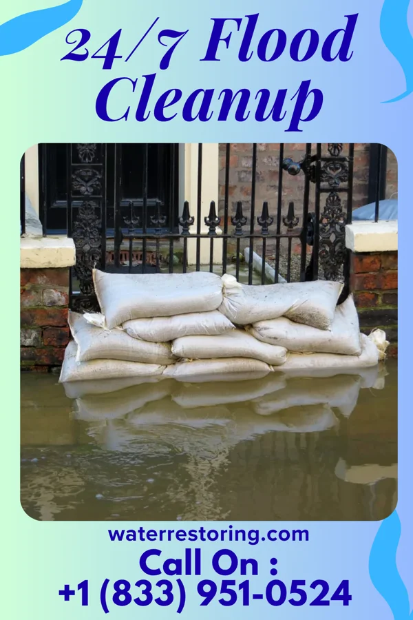24/7 Flood Cleanup in Collins, MO