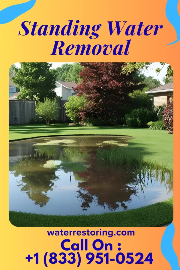 Standing Water Removal in Collins, MO